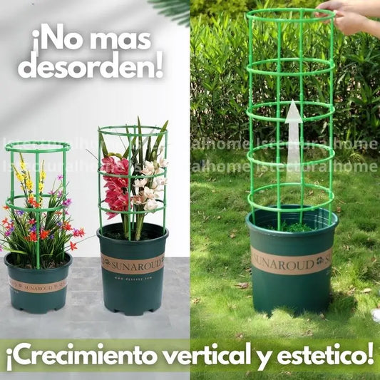 Soporte 3D  para planta